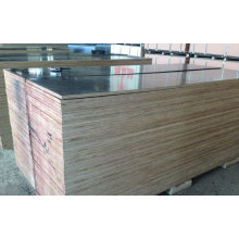 21mm Peri Quality Film Faced Plywood para Construcciones